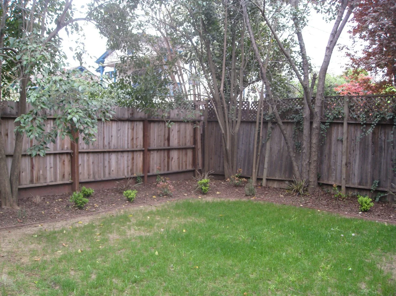 144838thBackyard.jpg