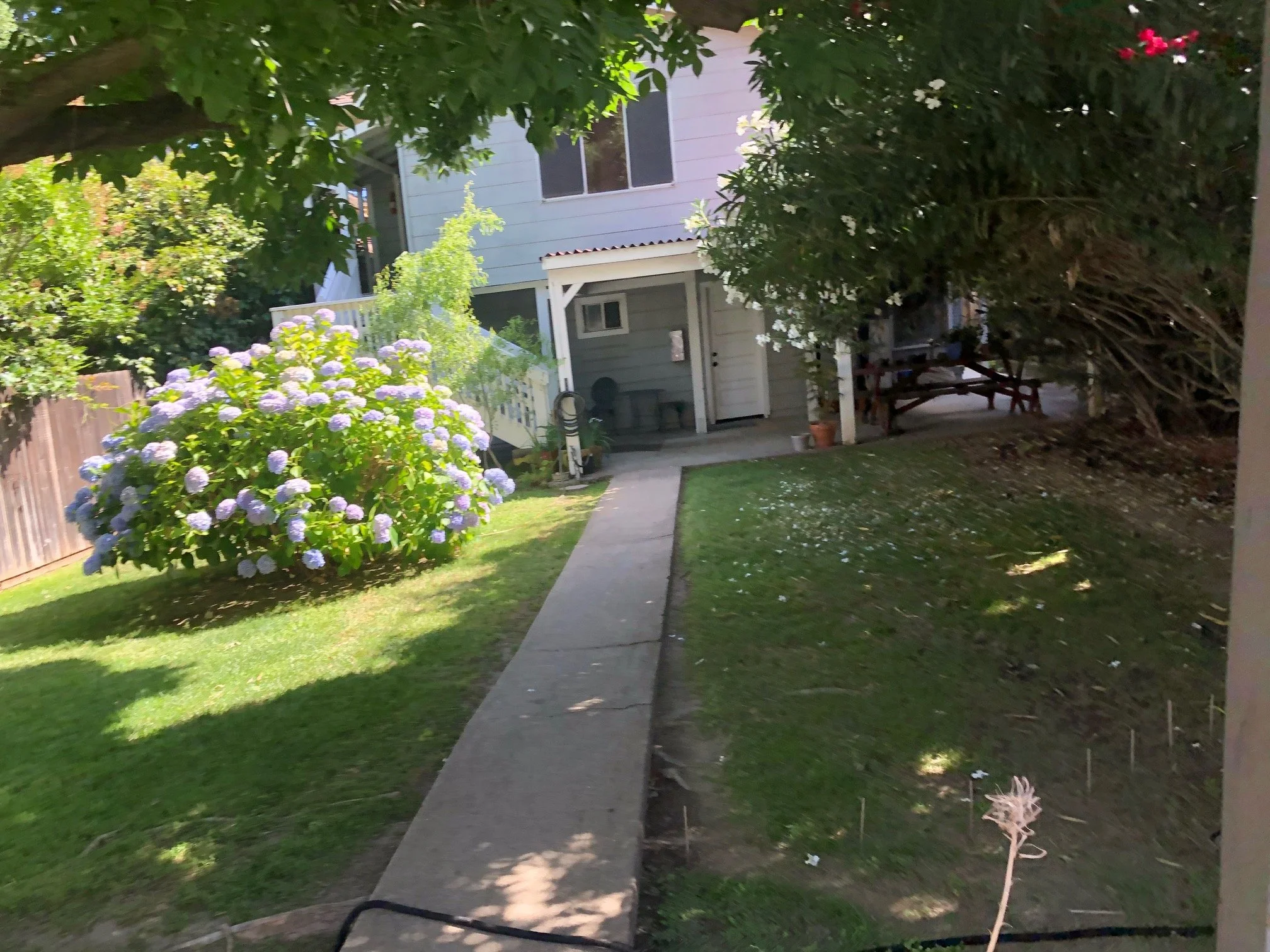 H St Backyard.jpg