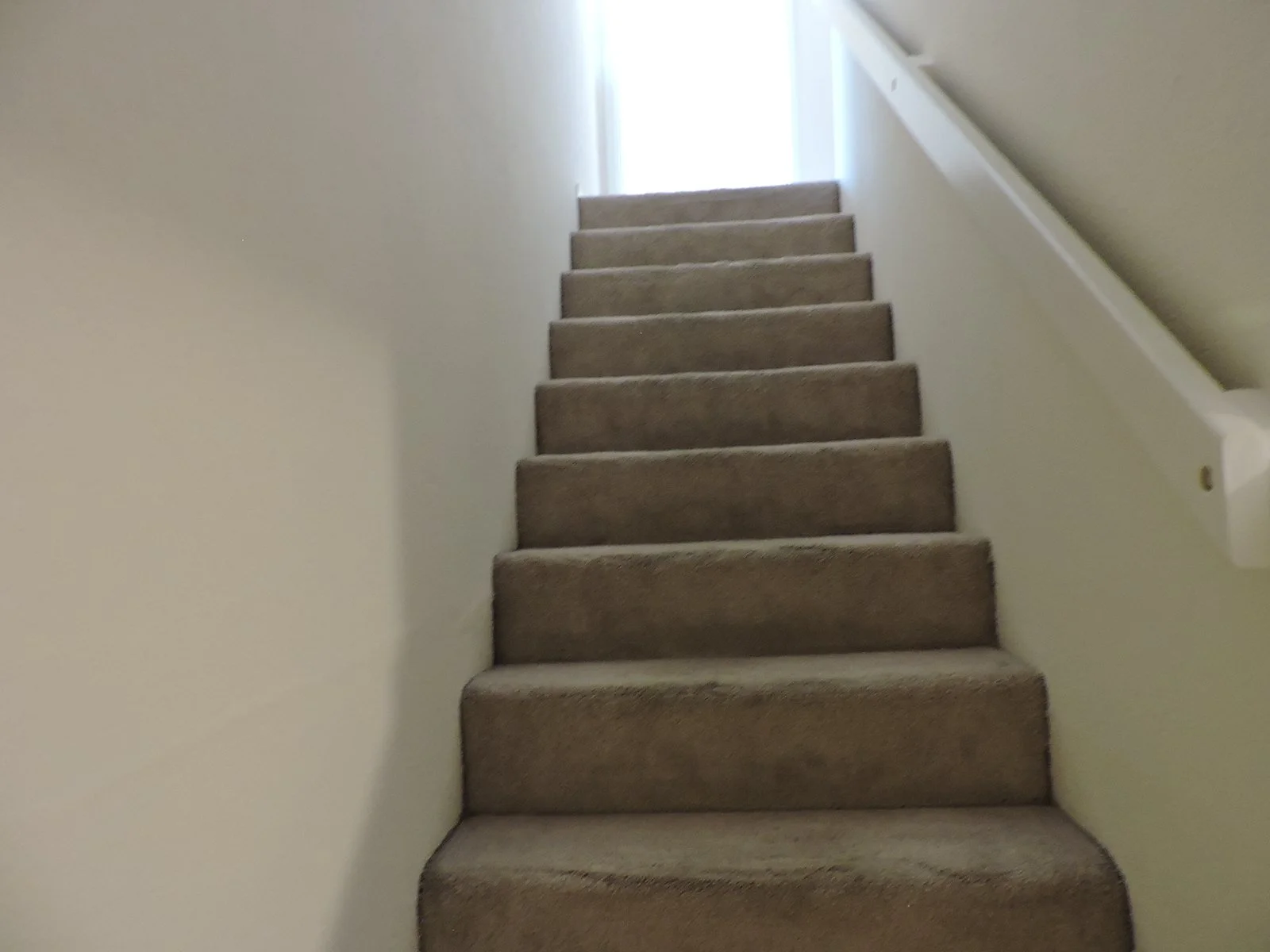 DSCN5478.JPG