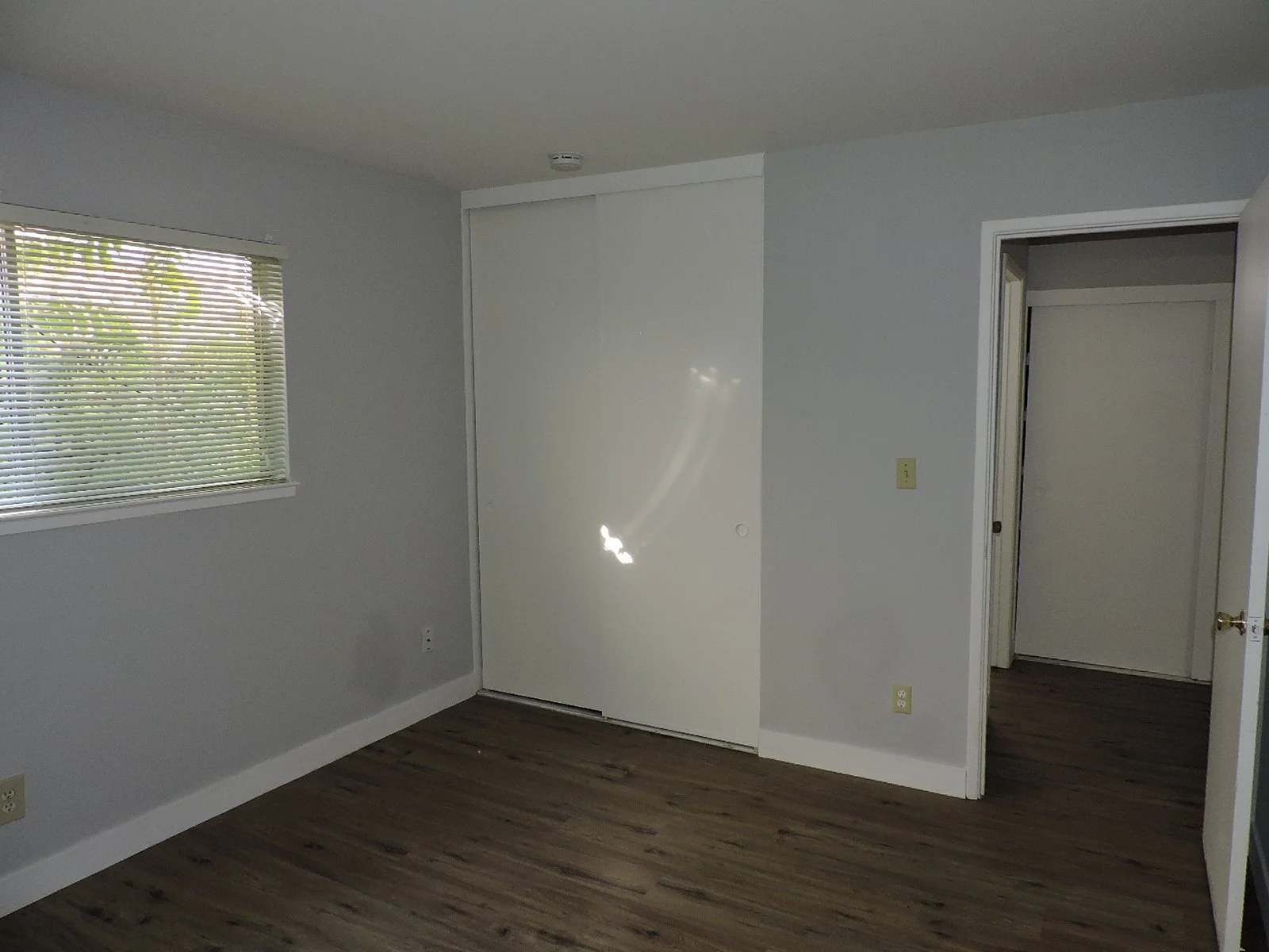 DSCN6313.JPG