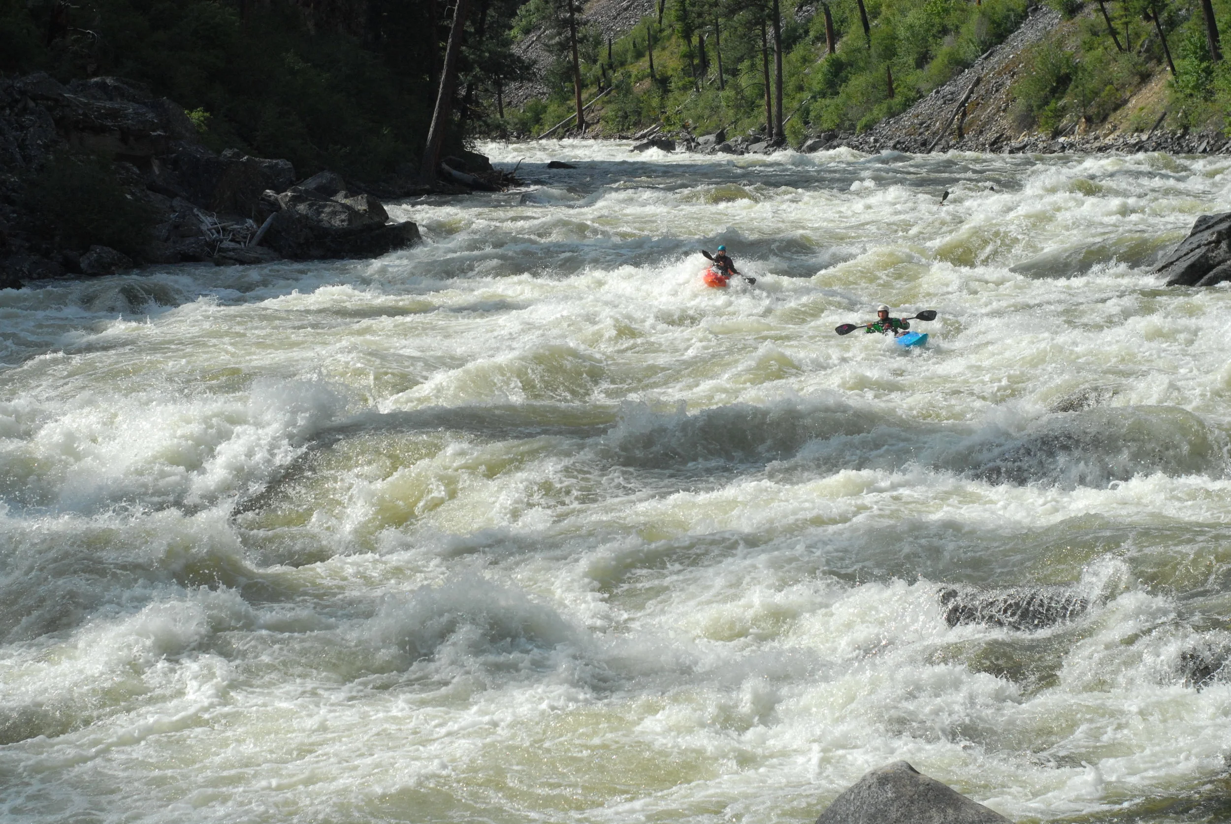 South Fork of the Salmon and the Gold Mining  