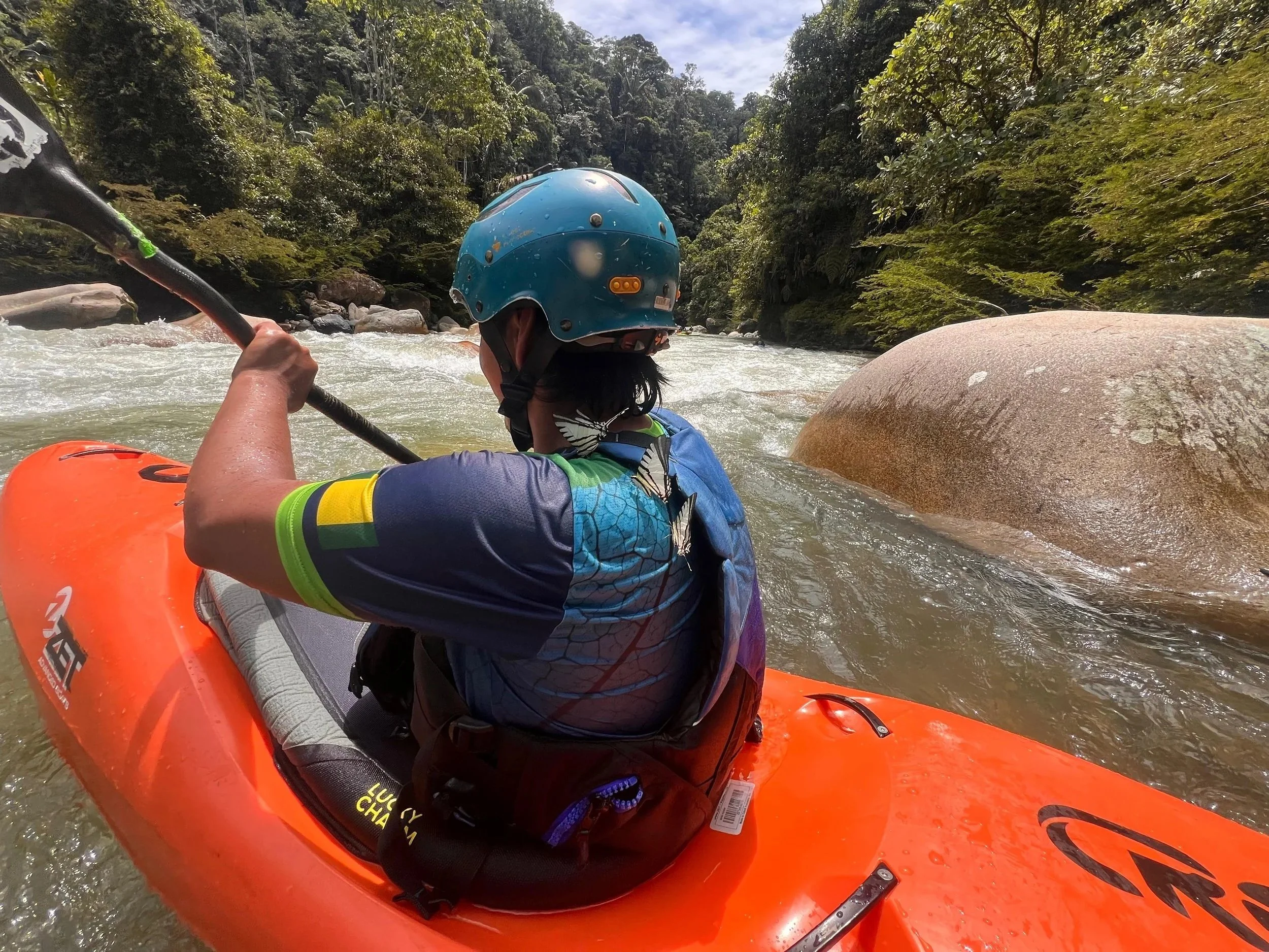 PHOTO-2026-01-13-11-26-49.jpg (Copy) (Copy)