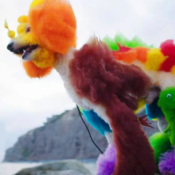 WELL GROOMED - Documentary Feature