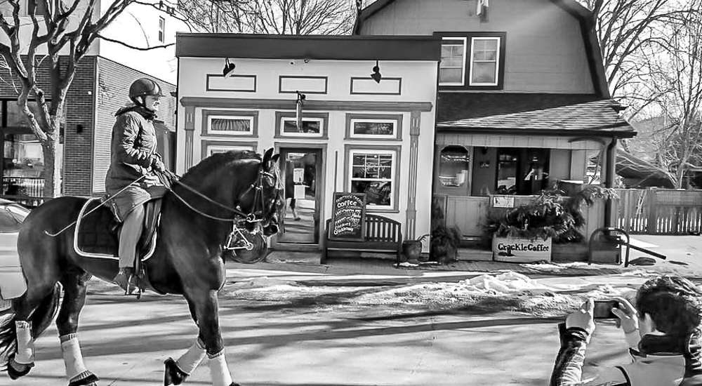 Black Stallions welcome at Grackle coffee in schomberg