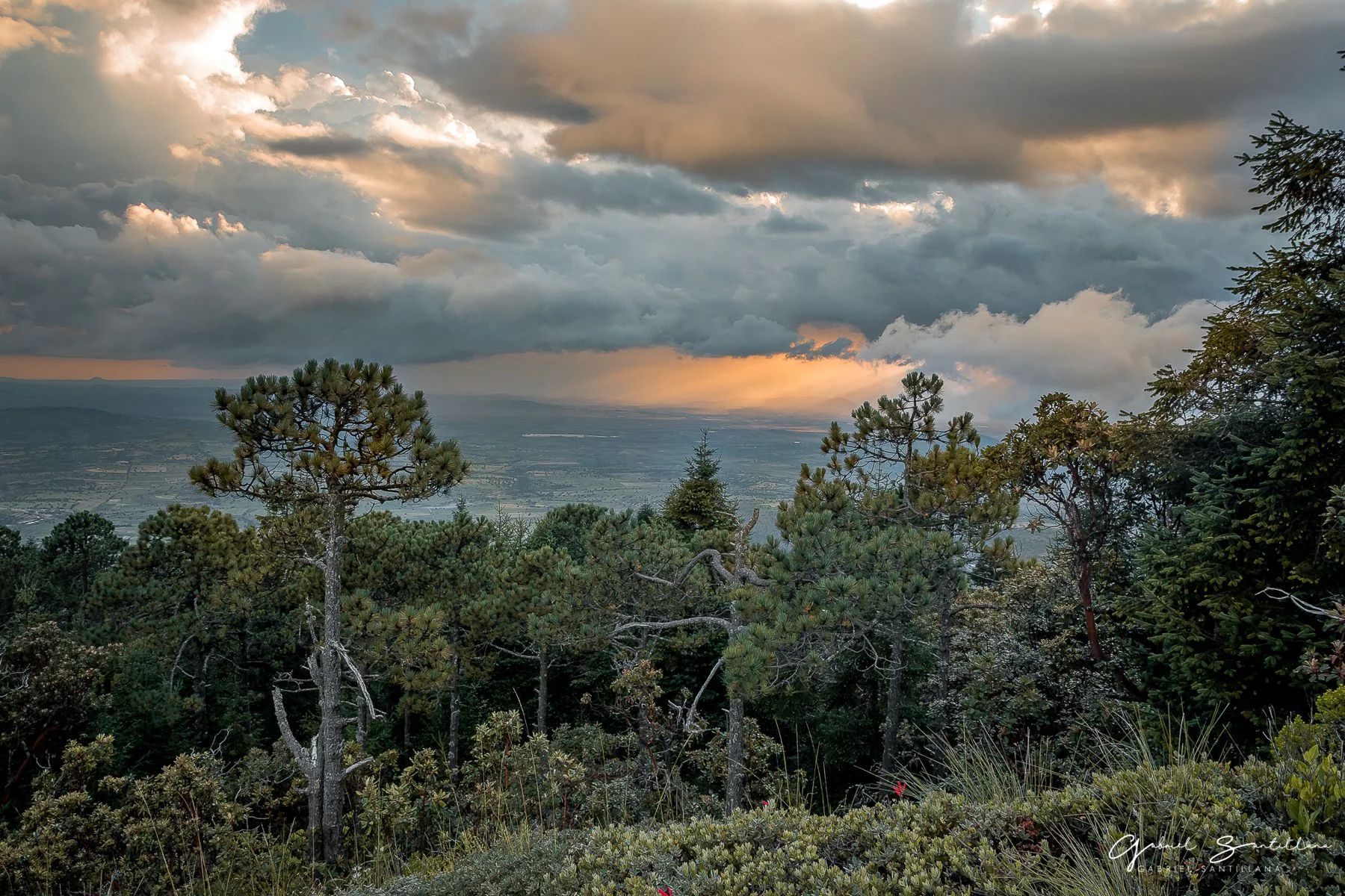 Bosque con nubes grandes y en el fondo los rayos de sol del atardecer