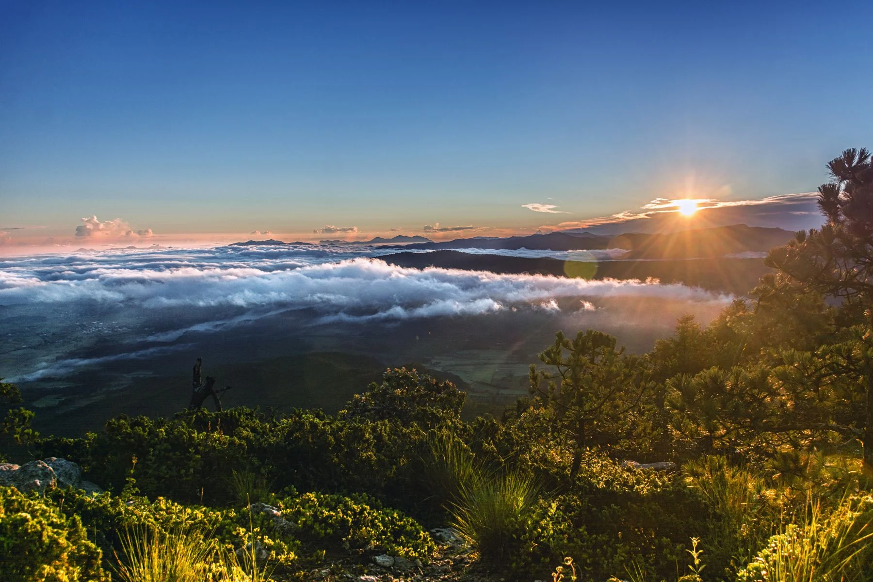 Amanecer con cama de nubes y los rayos del sol pegando en la parte alta de los arboles 