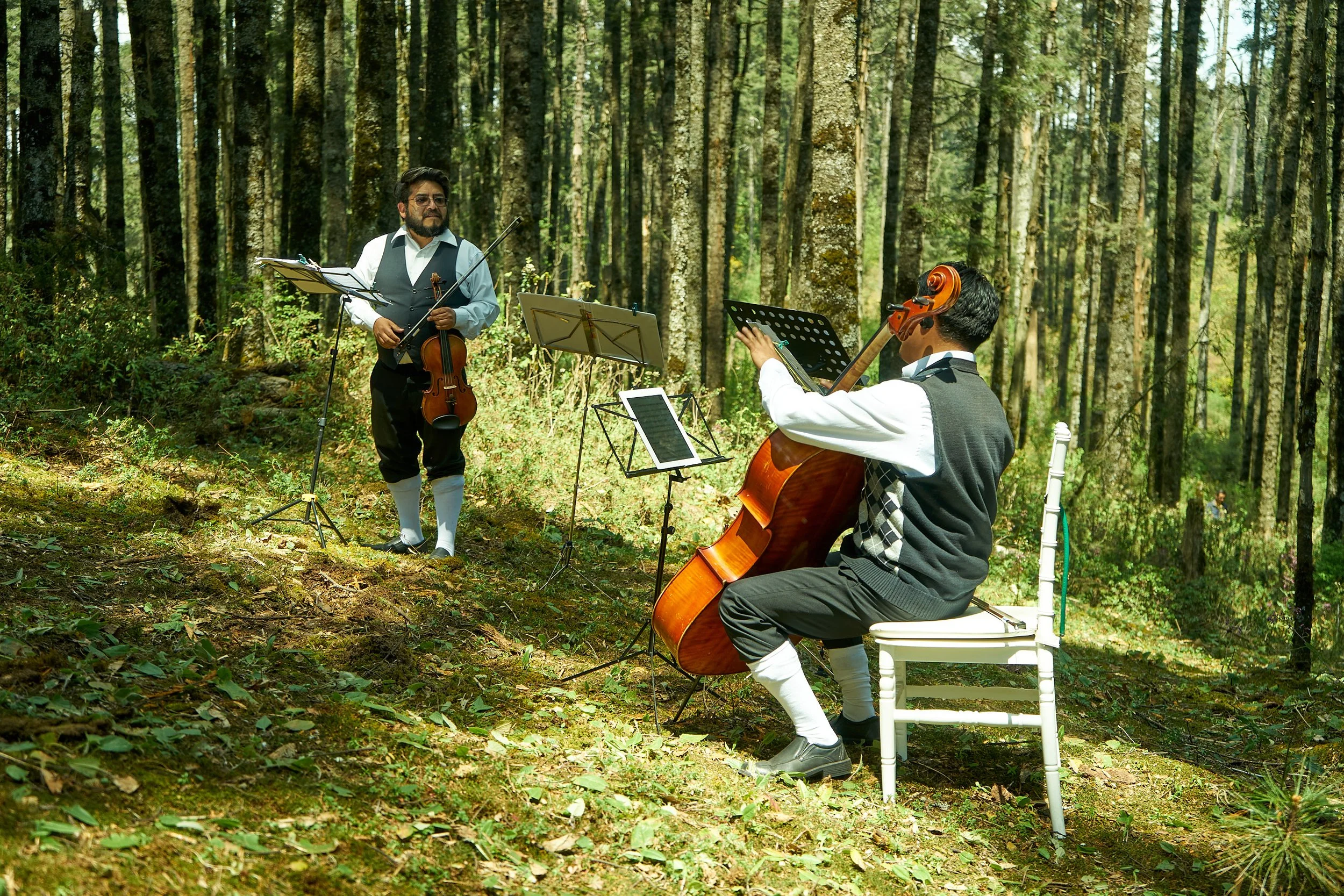 CONCIERTO EN PEÑA DEL REY
