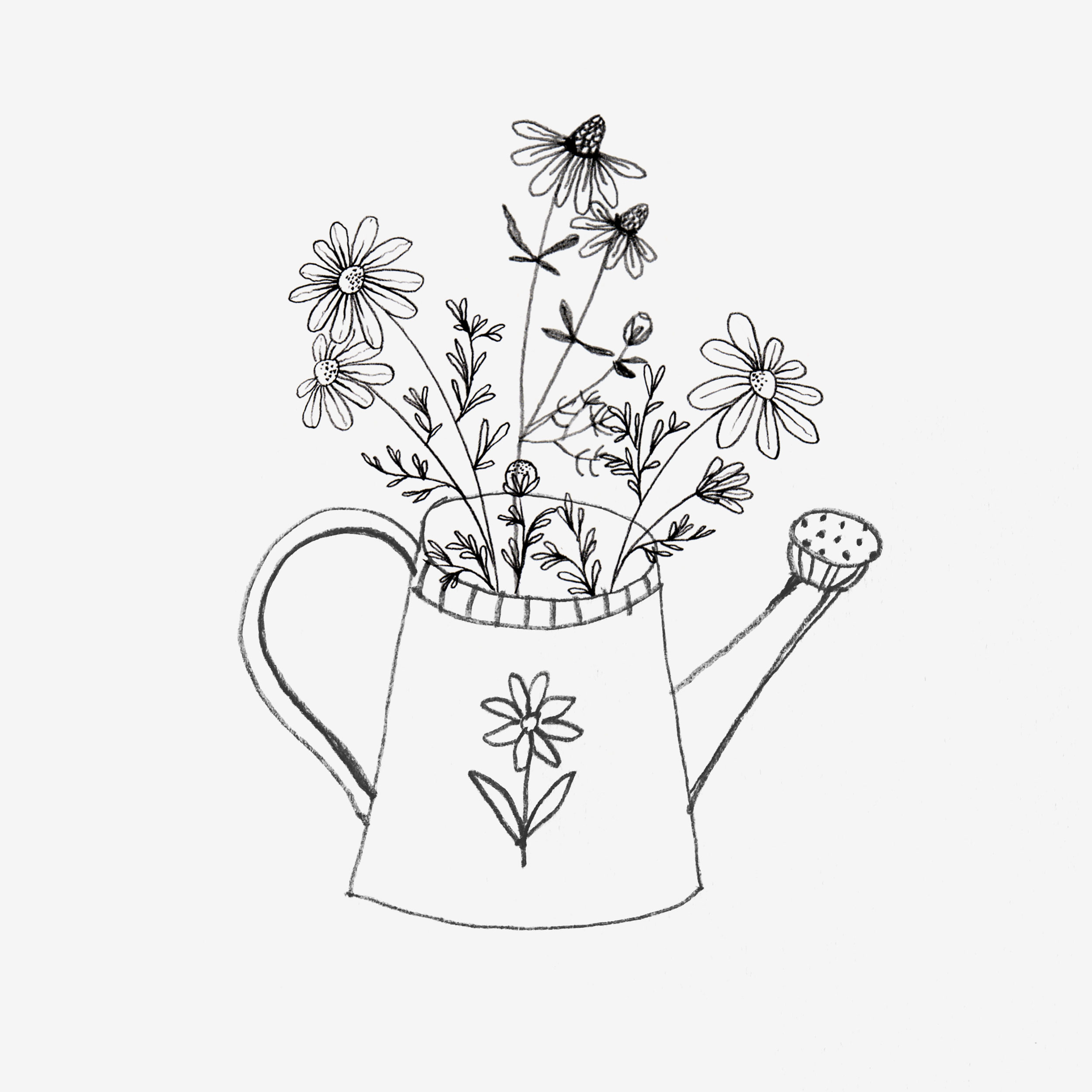 Black-white-pencil-watering-can-flowers-drawing.jpg