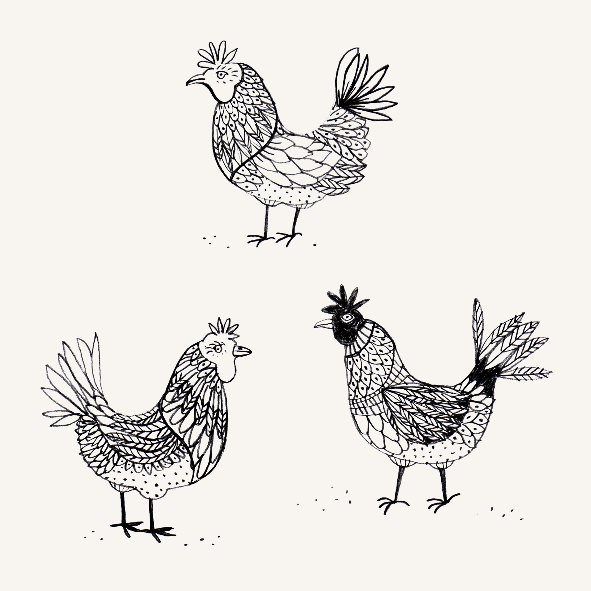 Black-white-pencil-chicken-drawing.jpg