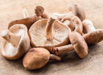 shitake.png