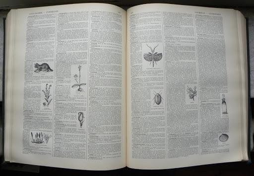 Le Nouveau Dictionnaire Larousse Volume 2 pages 476-477, 1899.
