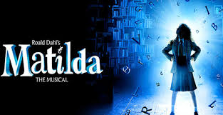 Guitarist - Adelaide 2017 