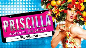 Guitarist - Adelaide 2018 