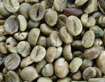 ORGANIC Green Coffee Beans 12 oz.