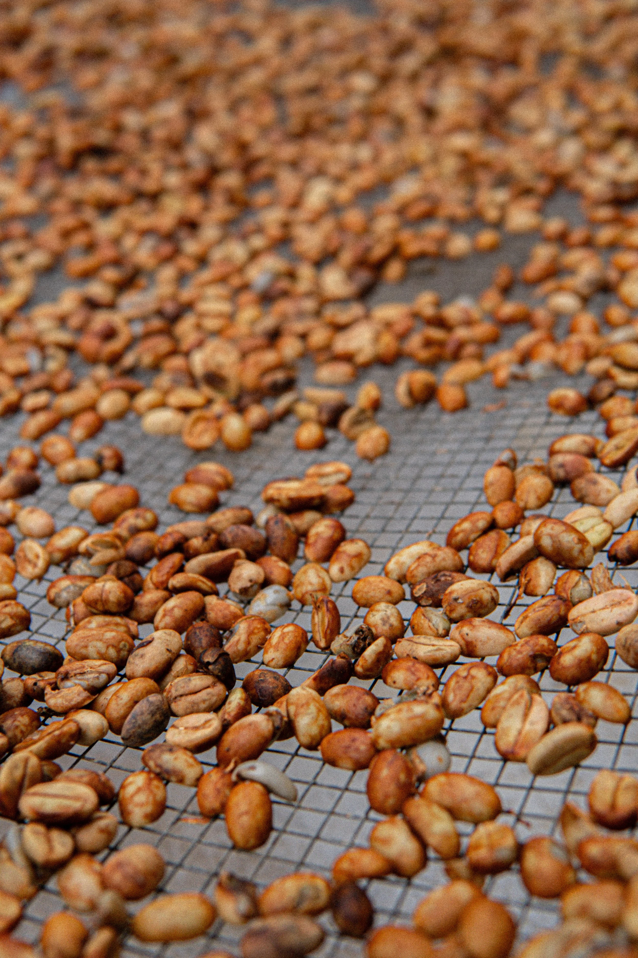 COMING SOON! Pre-order to ensure you get some!  100% Beyond Organic Ka'u Supreme Black Honey Processed Coffee 7 oz. bag