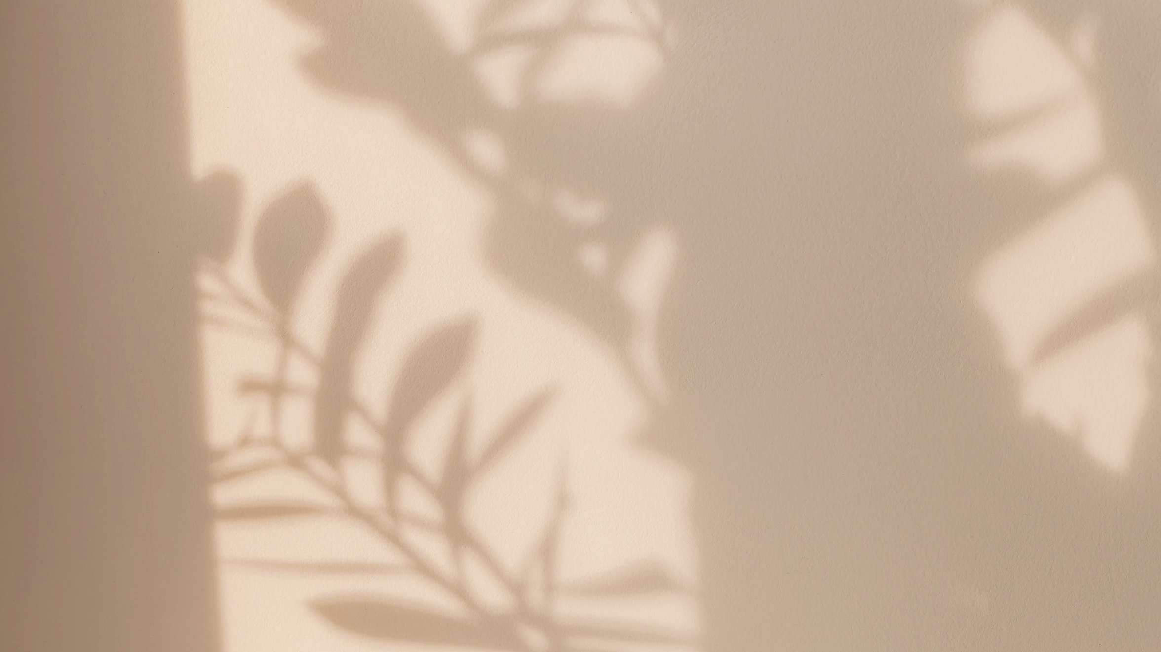 Screenshot 2025-12-09 at 5.36.04 PM.png