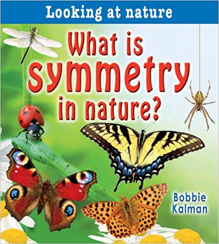 What is Symmetry in Nature