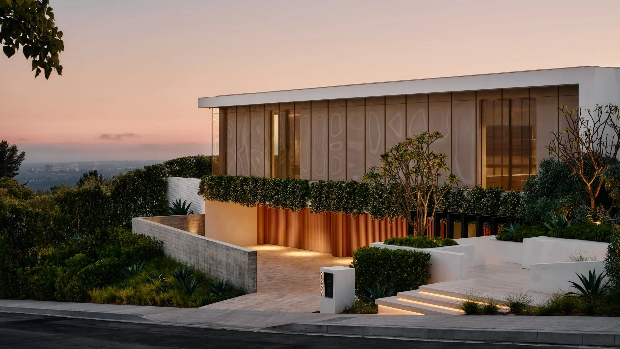 9259 Robin_LowRes_31_.jpg