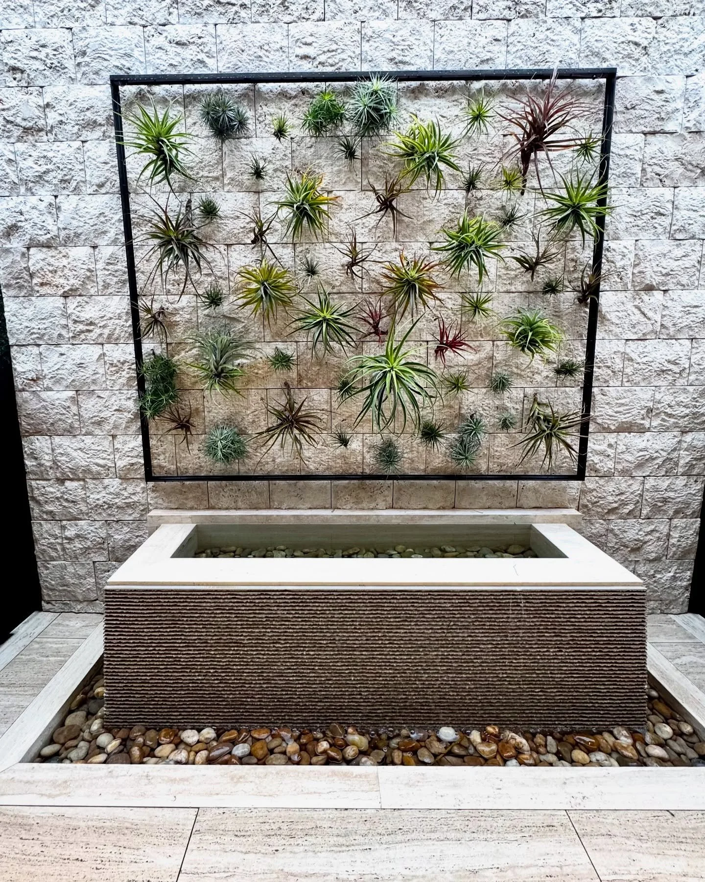 A beautifulTillandsia installation done by the very talented @airplantman in collaboration with @artsanvilironworks