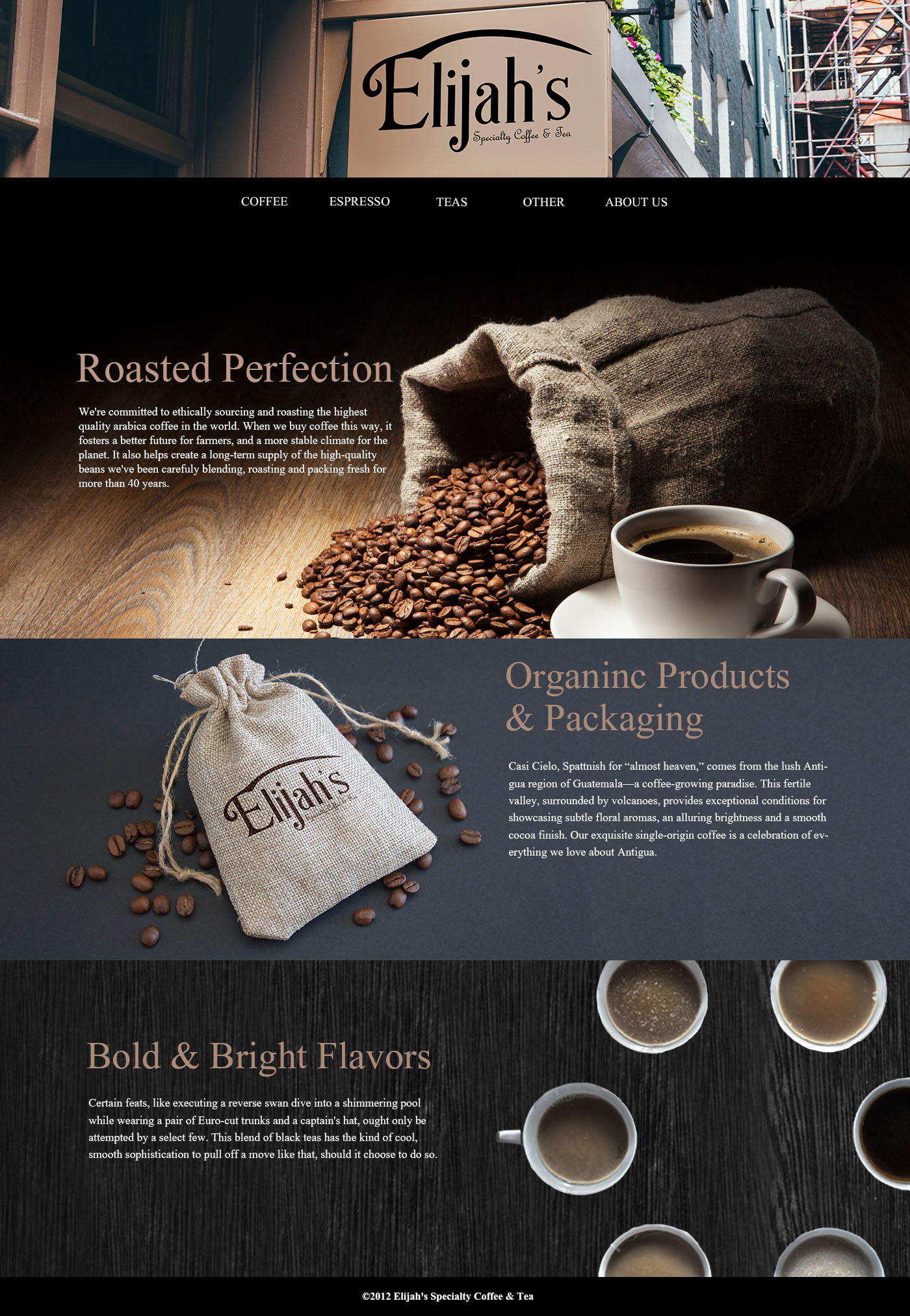 Elijah Site Mock 1.jpg