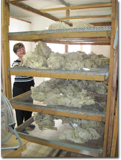 Fiber_Mill_Drying.png