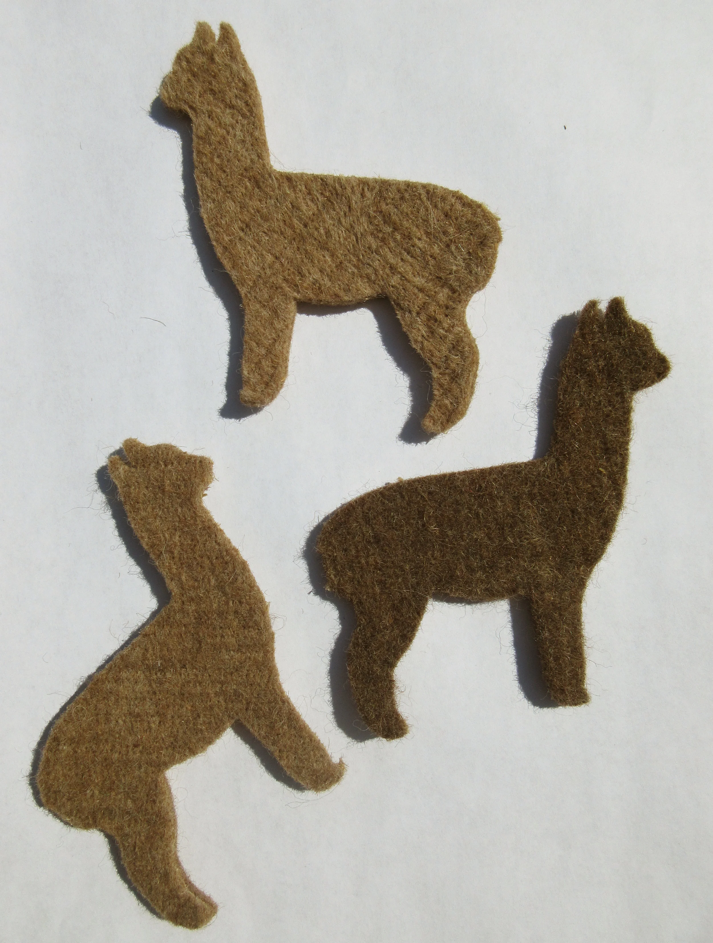 Cutouts3.jpg
