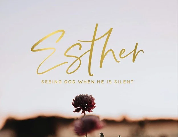 WOW: WOMENS BIBLE STUDY/BOOK OF ESTHER 