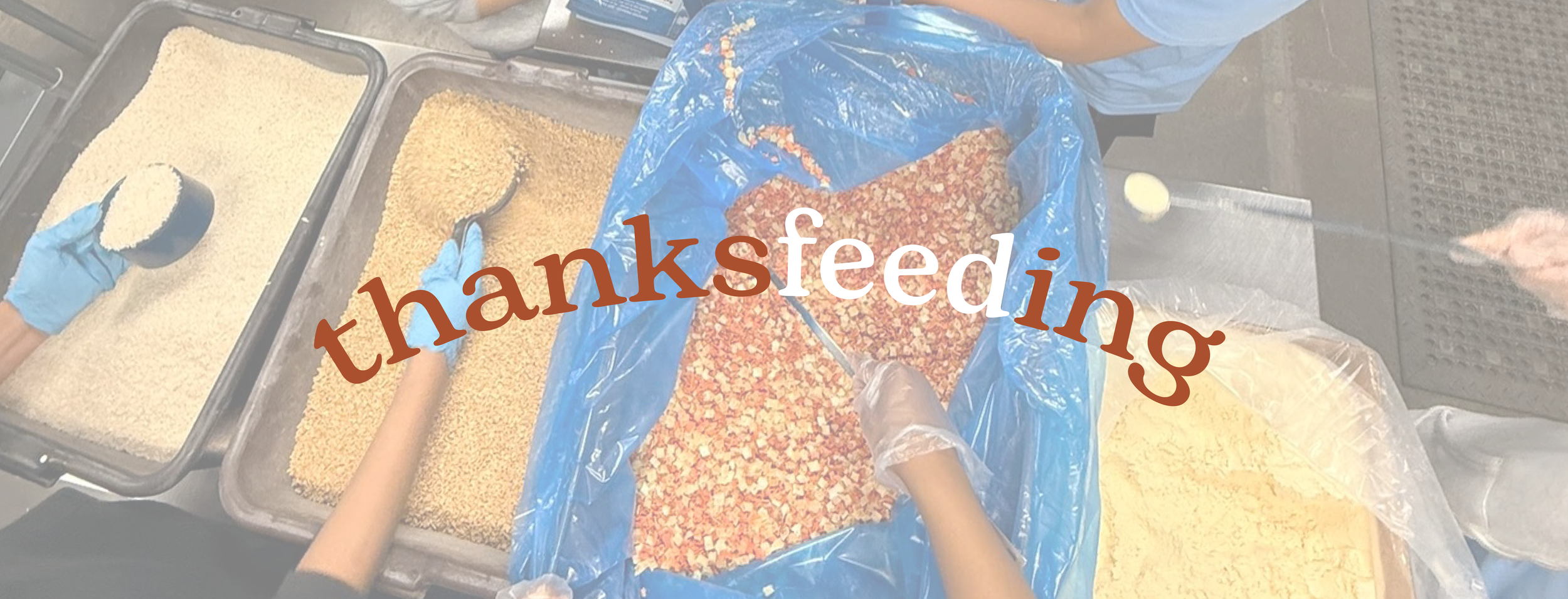 Thanksfeeding-1.png