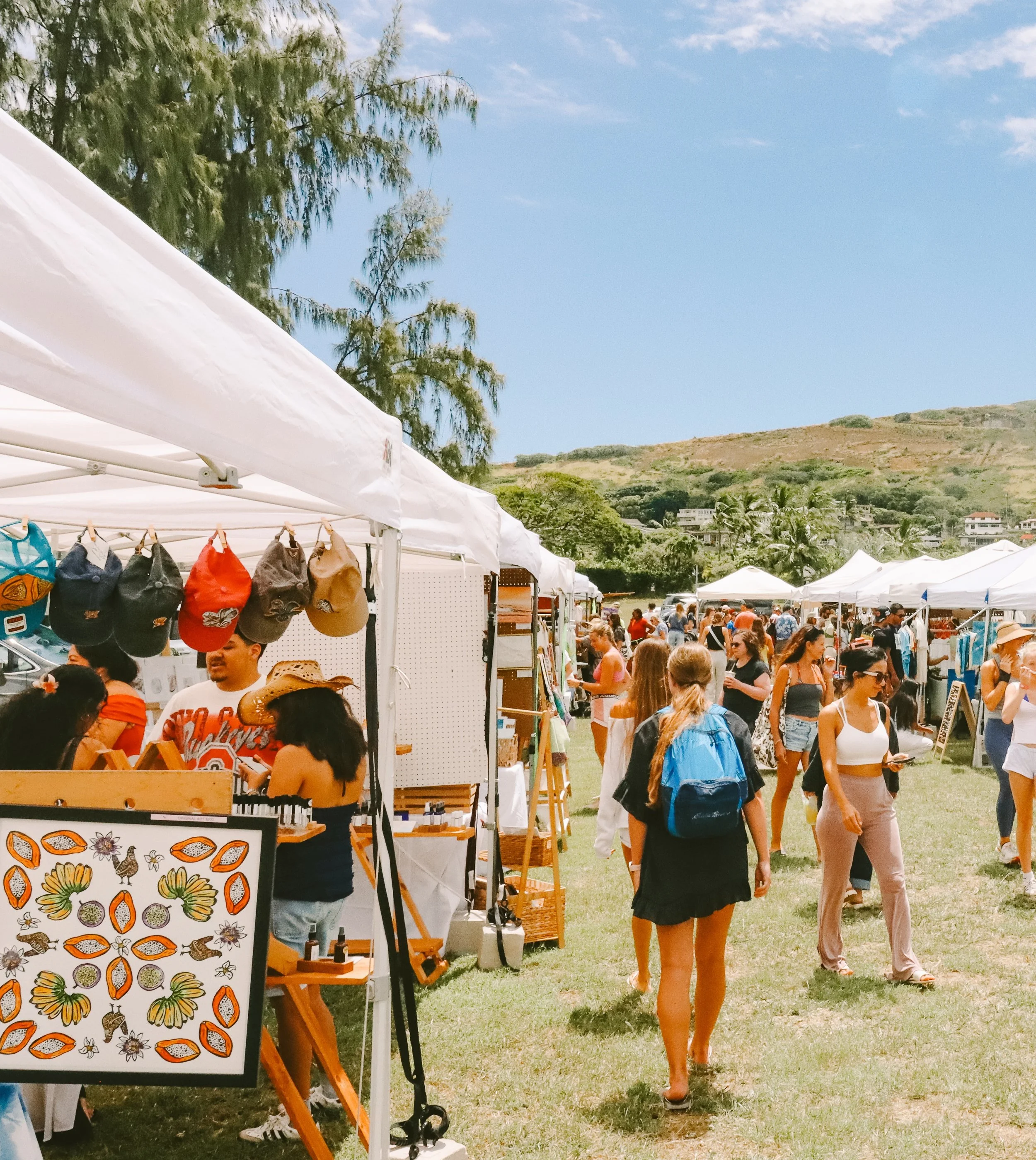 Hawaii Kai Market