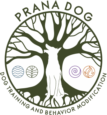 Prana Dog Training &amp; Behavior Modification