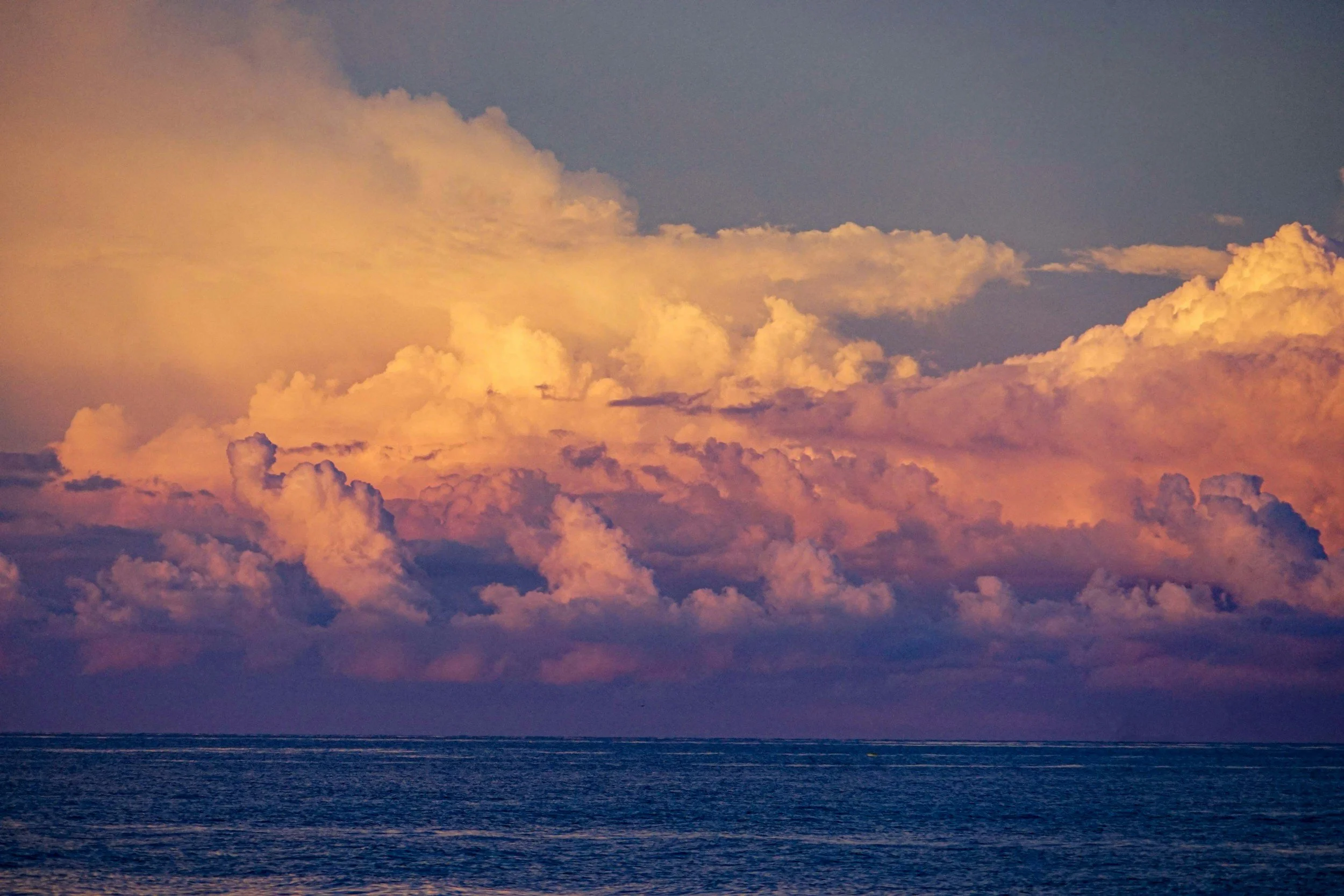 Fertility Series Part 1: Why The 3 Months Leading Up to Conception Matter