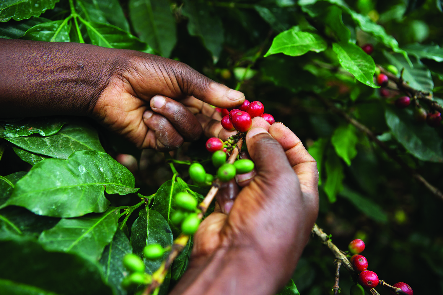 Home Page Image 1.jpg