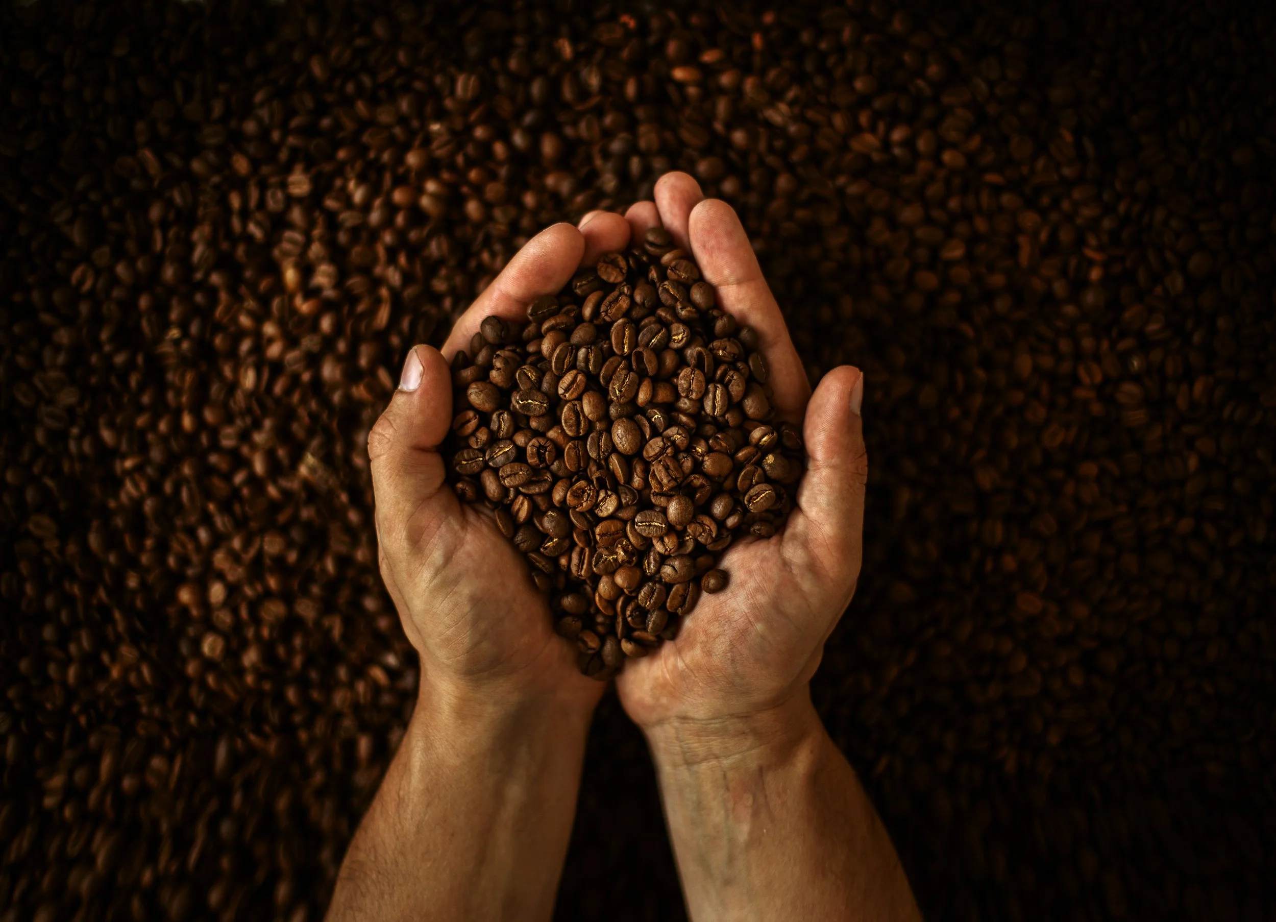 Zarraffa's latest Single Origin: Honduran Las Flores has arrived!  