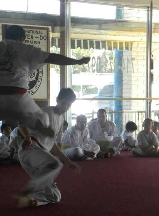 Blackbelt Test age 18