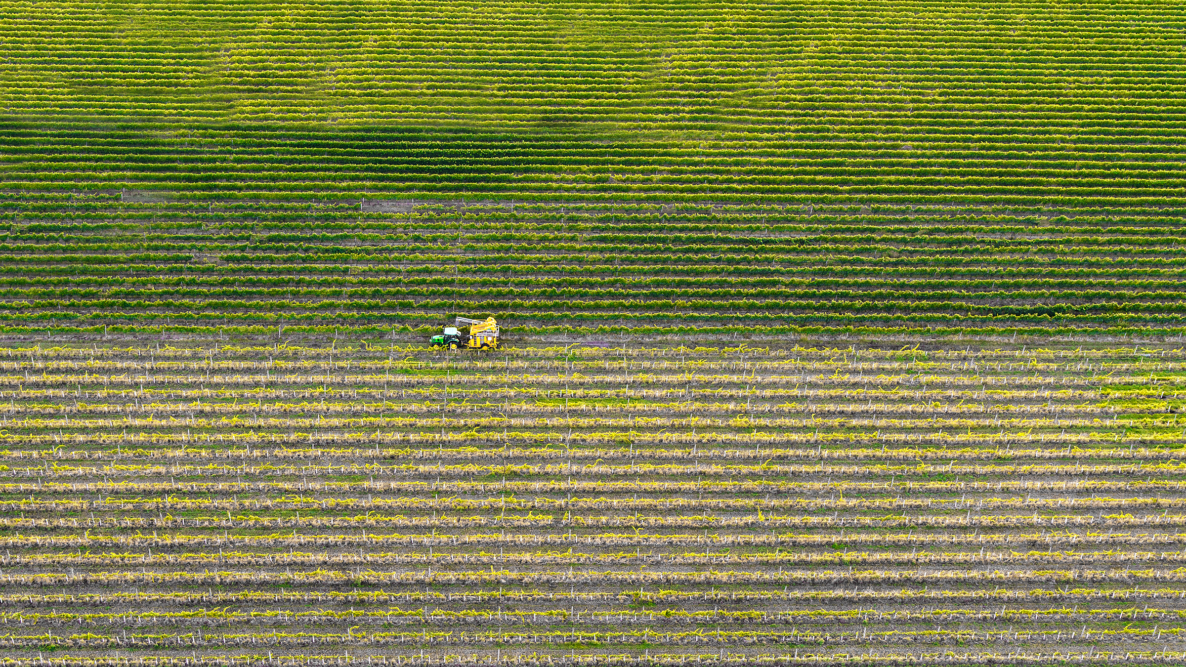 DJI_0384.jpg