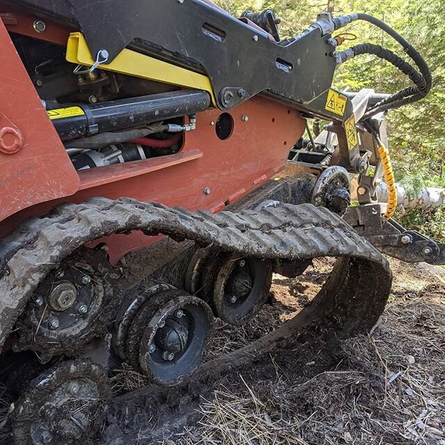 Just another day on the job doing what we love to do.
#arboristlife #arborist #ditchwitch #stihl #treeremoval #treeservice