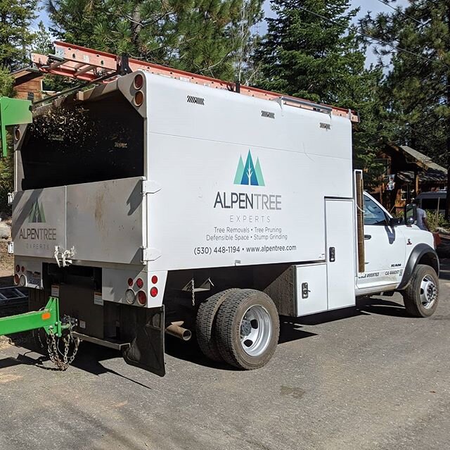 Finally got the logo on the new chipper truck.  Thanks @sirris.design for the beautiful logo and Truckee Sign Shop for the professional job.
#treeservice #shoplocal #arborist #ramchippertruck @callineequipment #banditchippers #ditchwitch