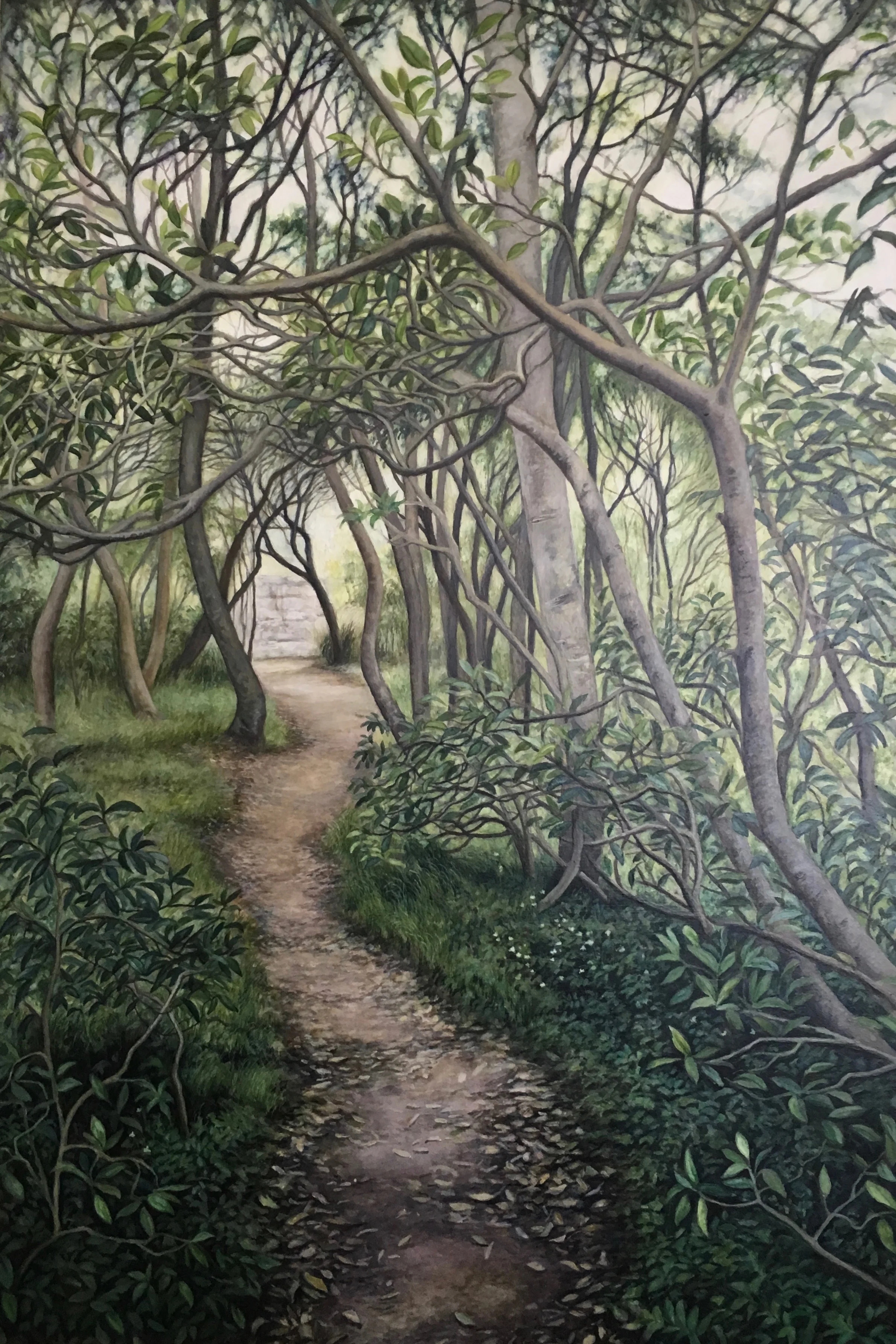 'Little Sirius Point Path'