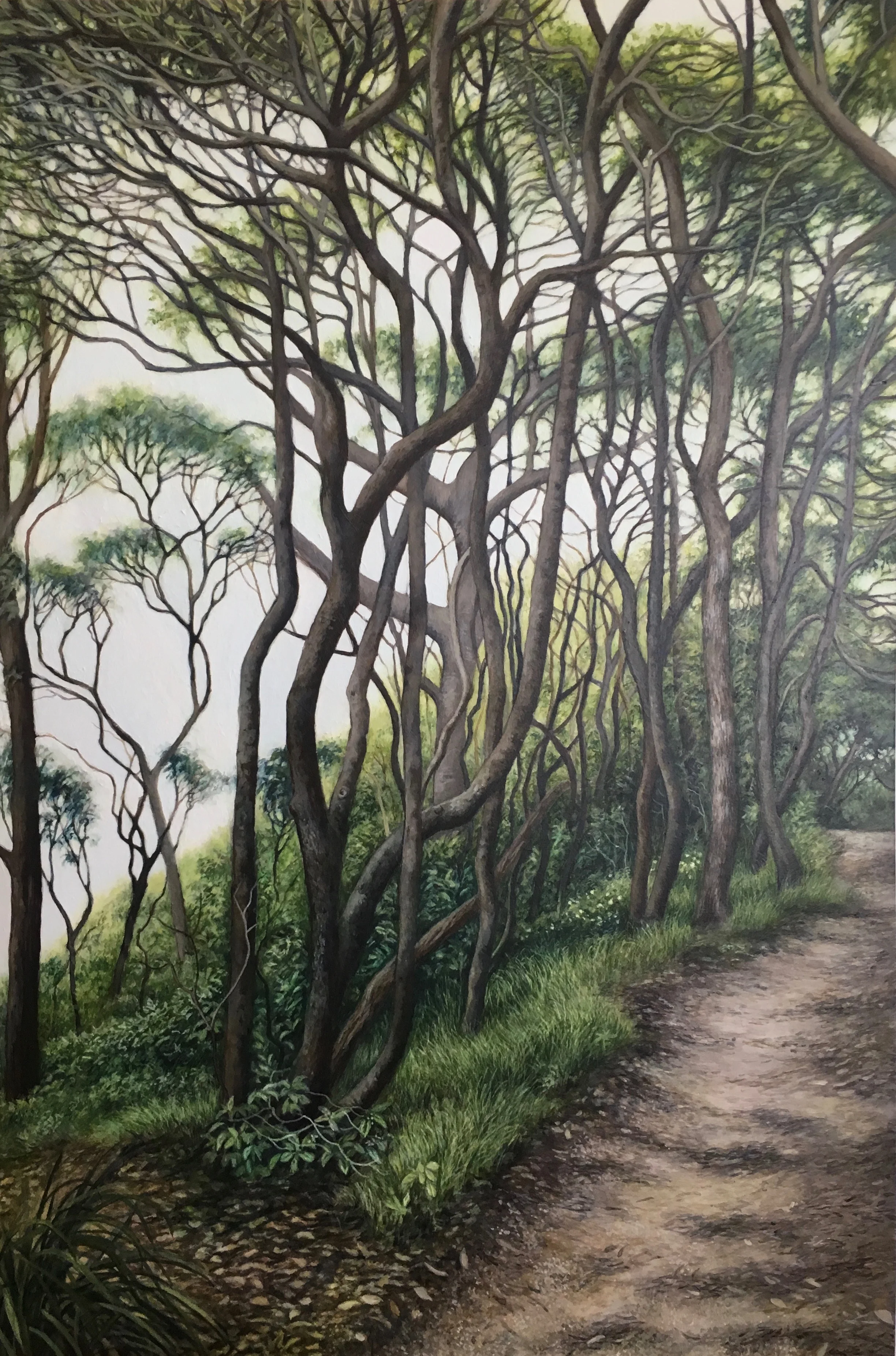 'Little Sirius Point Path II'