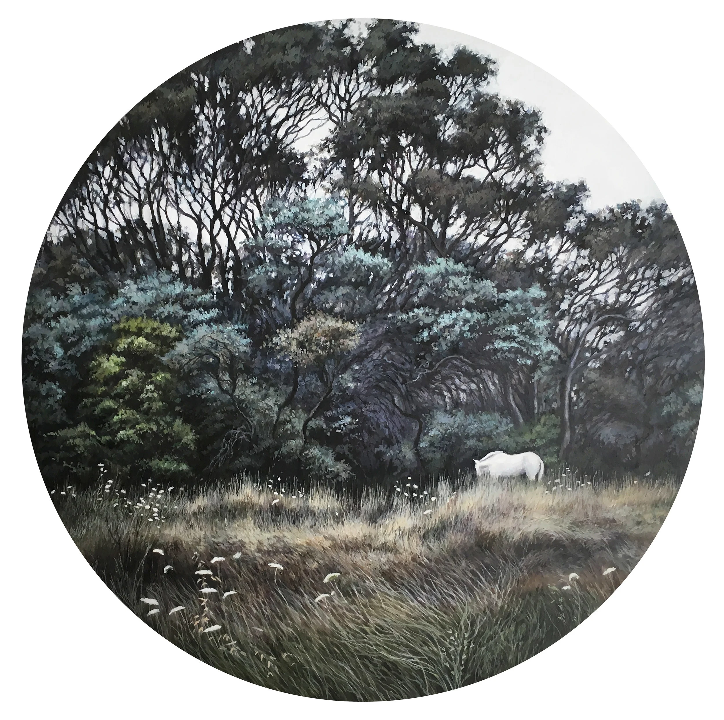 'Graze'