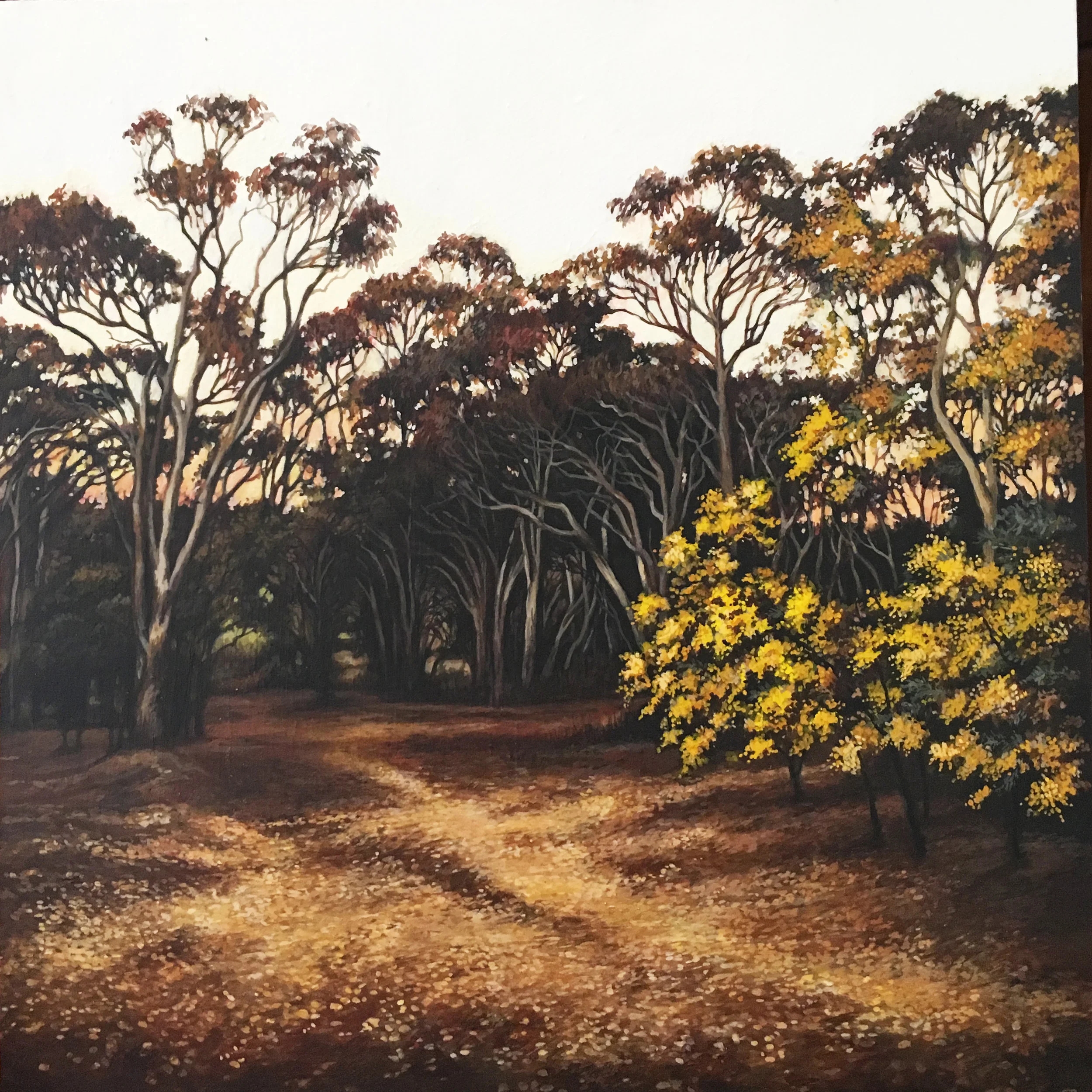 Wattles.jpg
