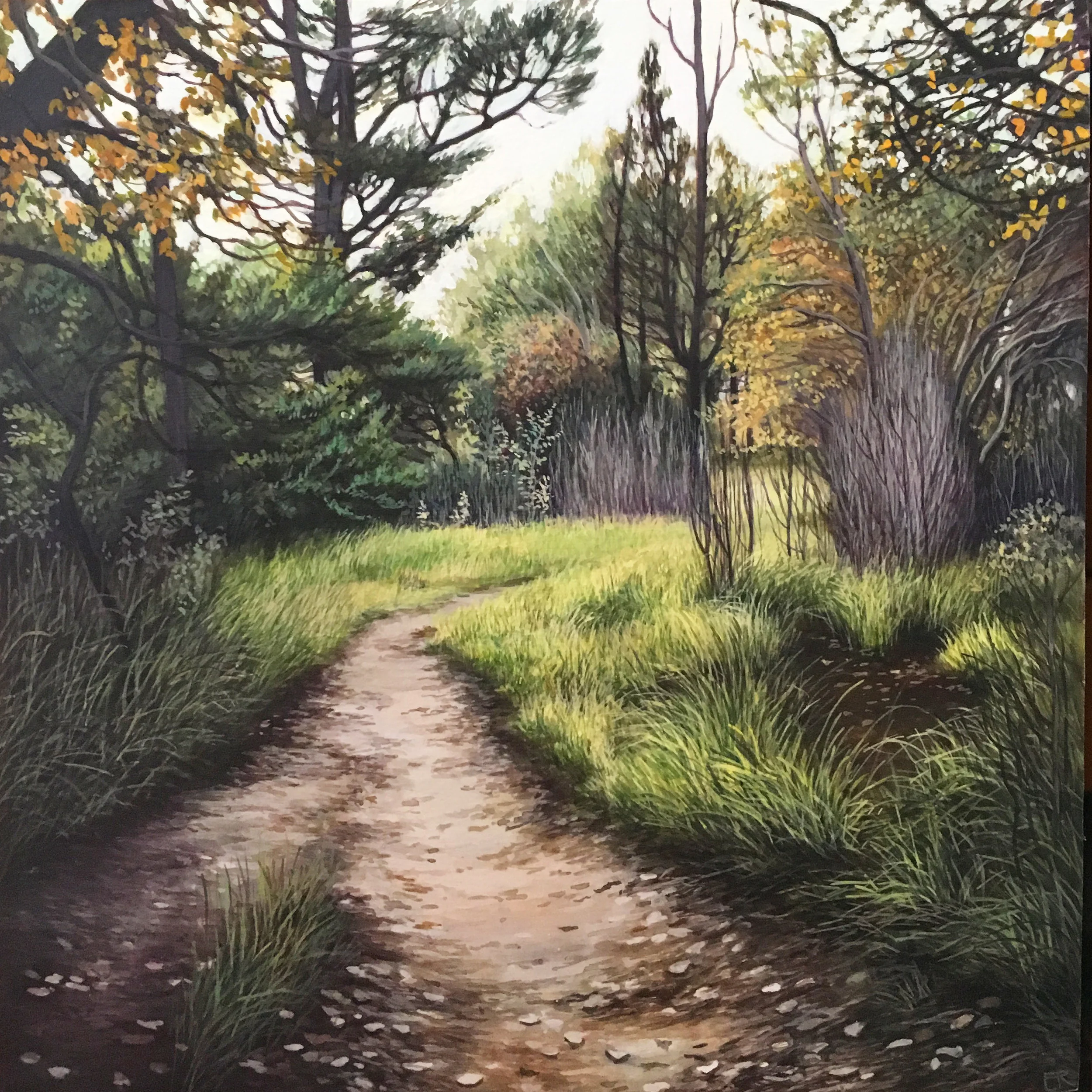 'Autumn in the Pine Forest II'