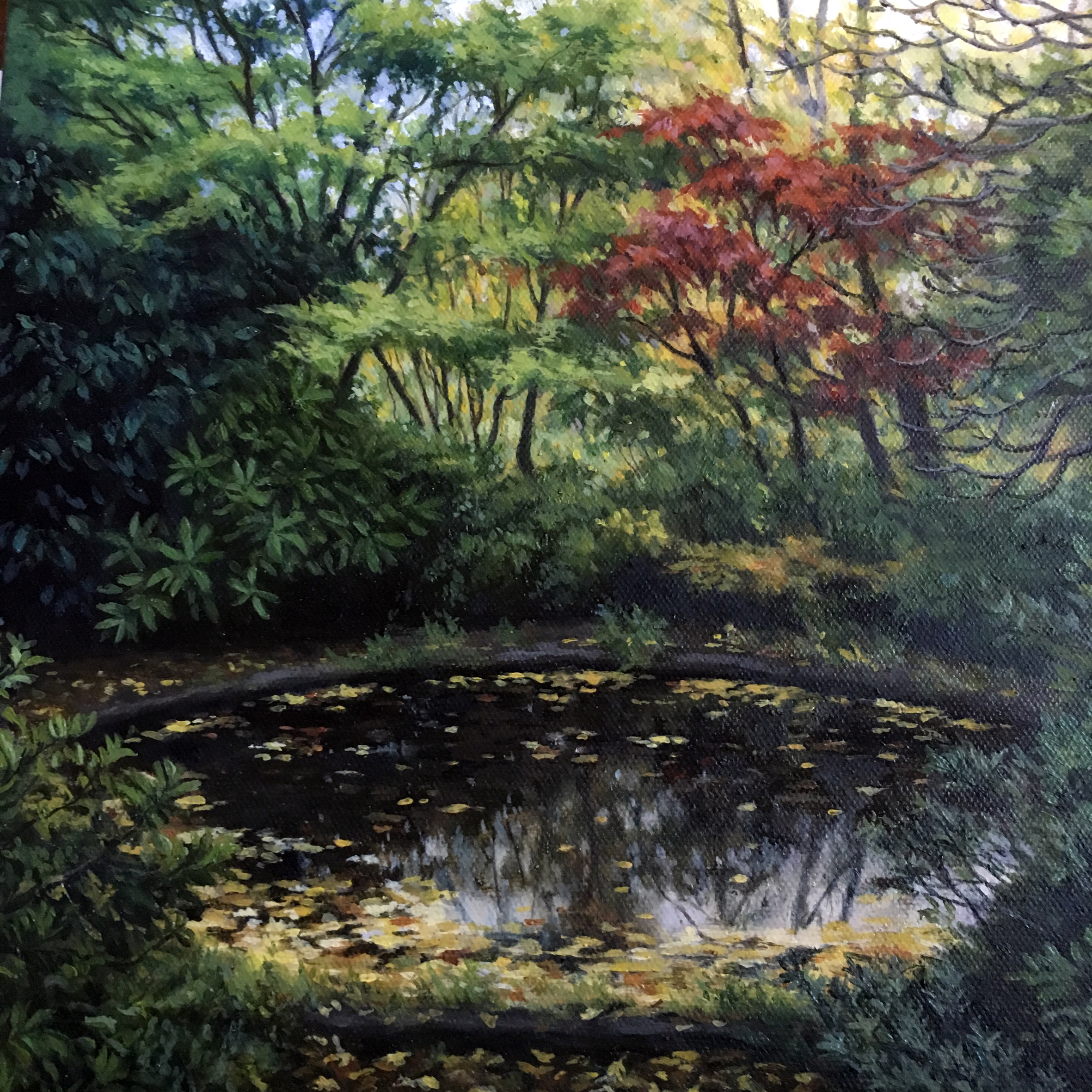 'Reflection'
