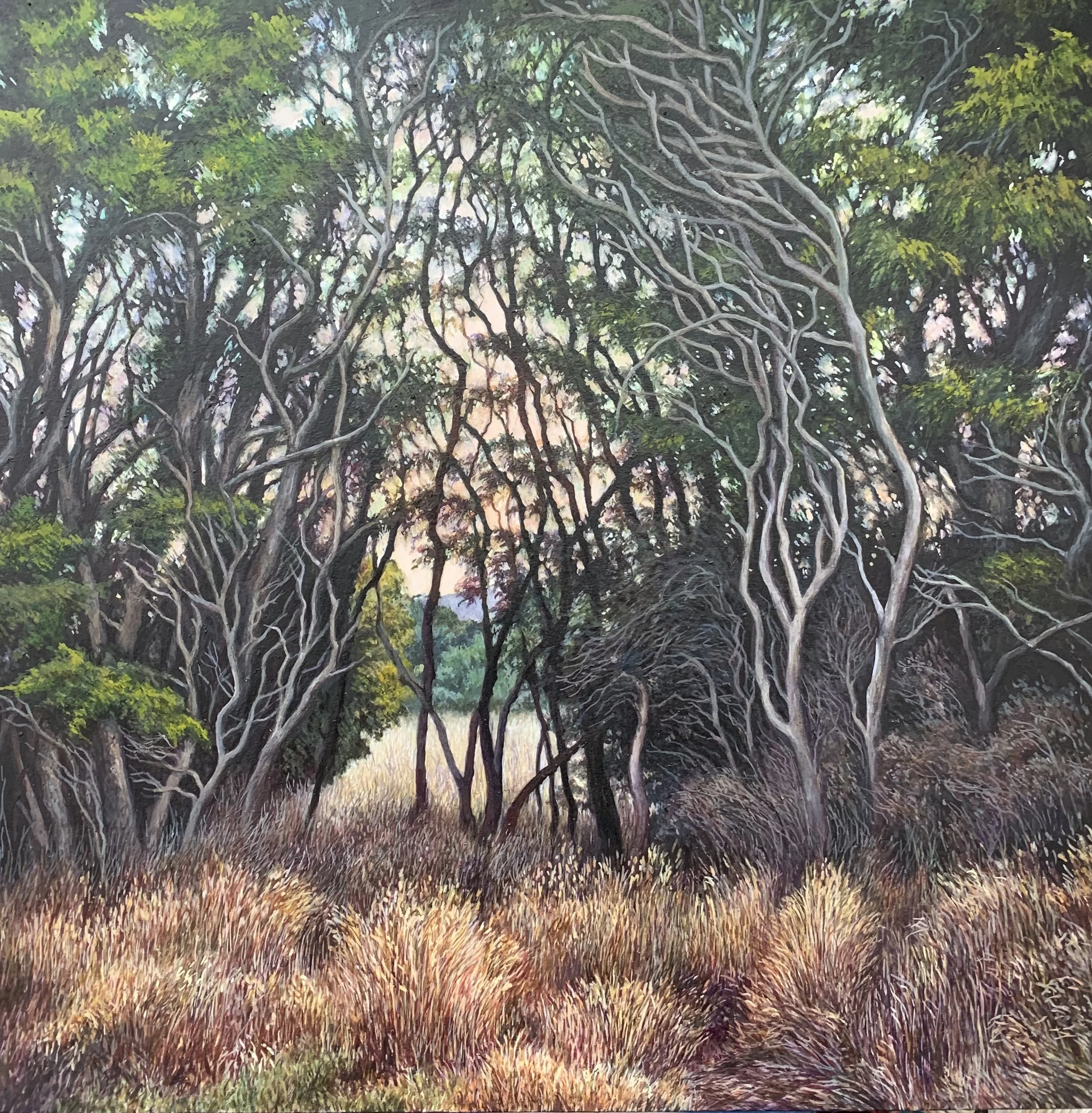 'Black Locust Grove'