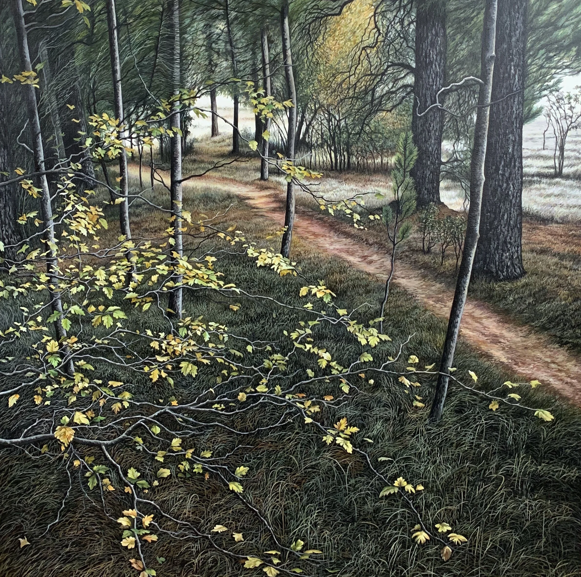 'Edge of the Forest'