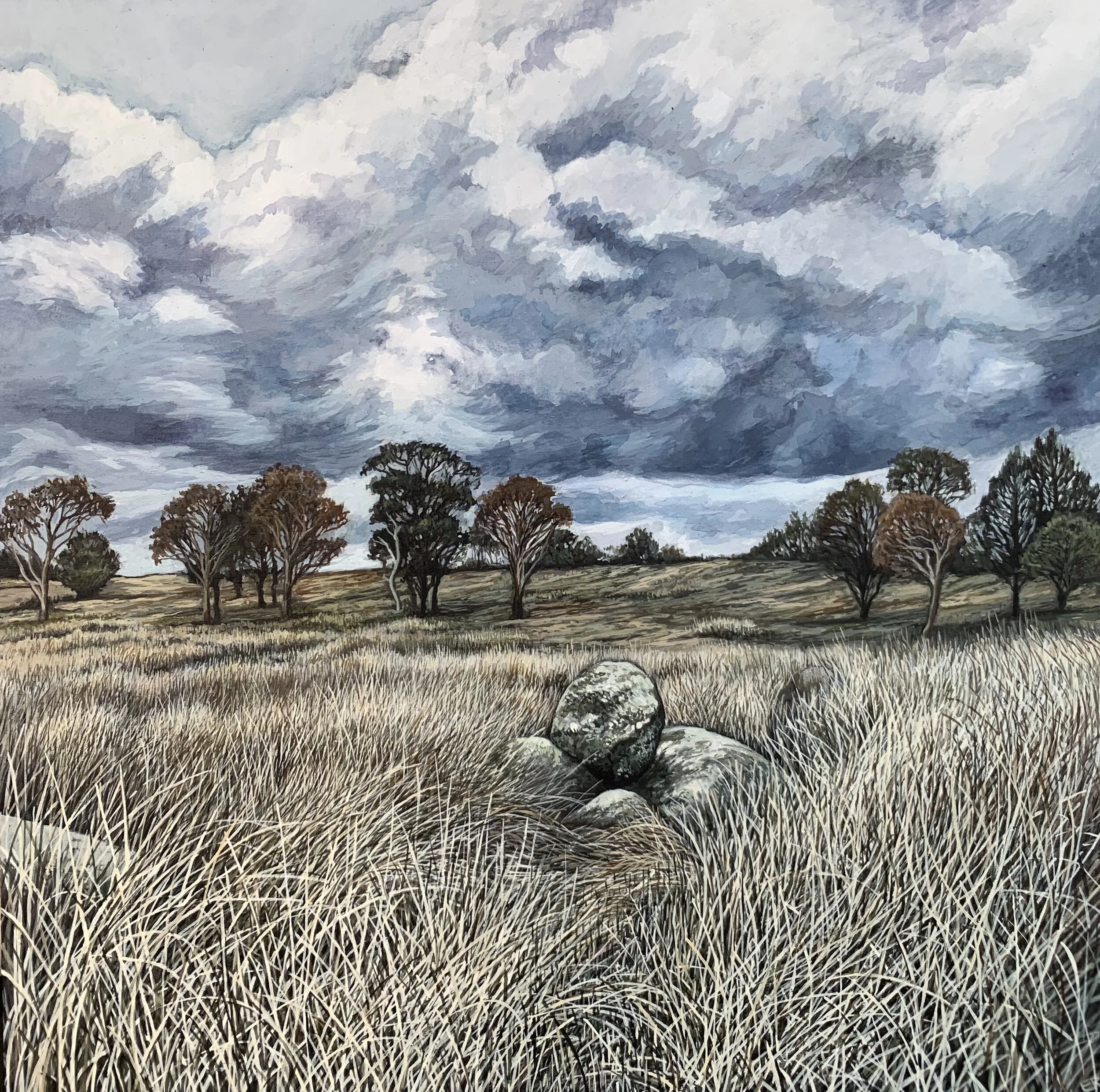 'Approaching Storm, Racecourse Lagoon' SOLD