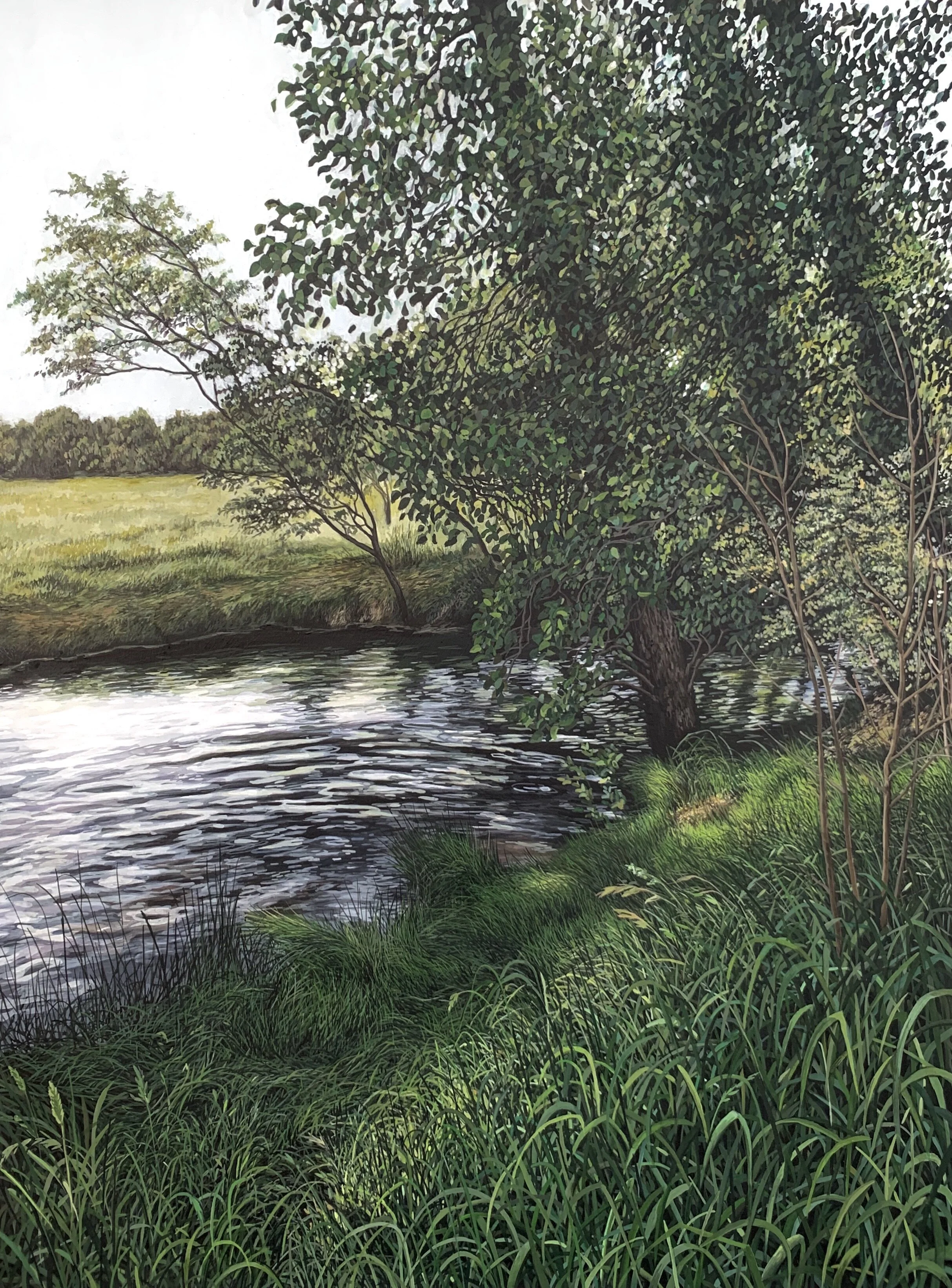 'Dumaresq Creek in Summer' SOLD