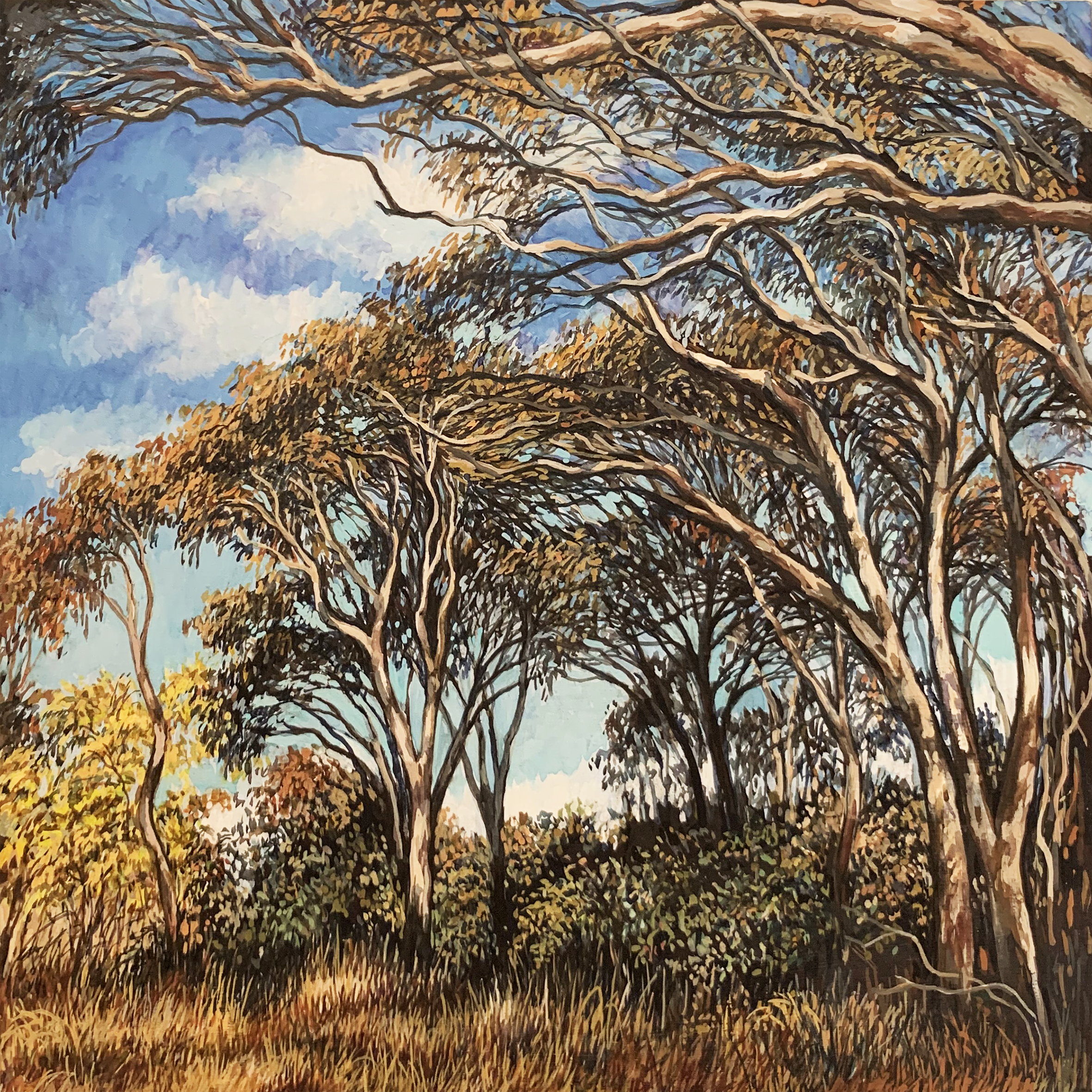 'Afternoon Late in Winter' 