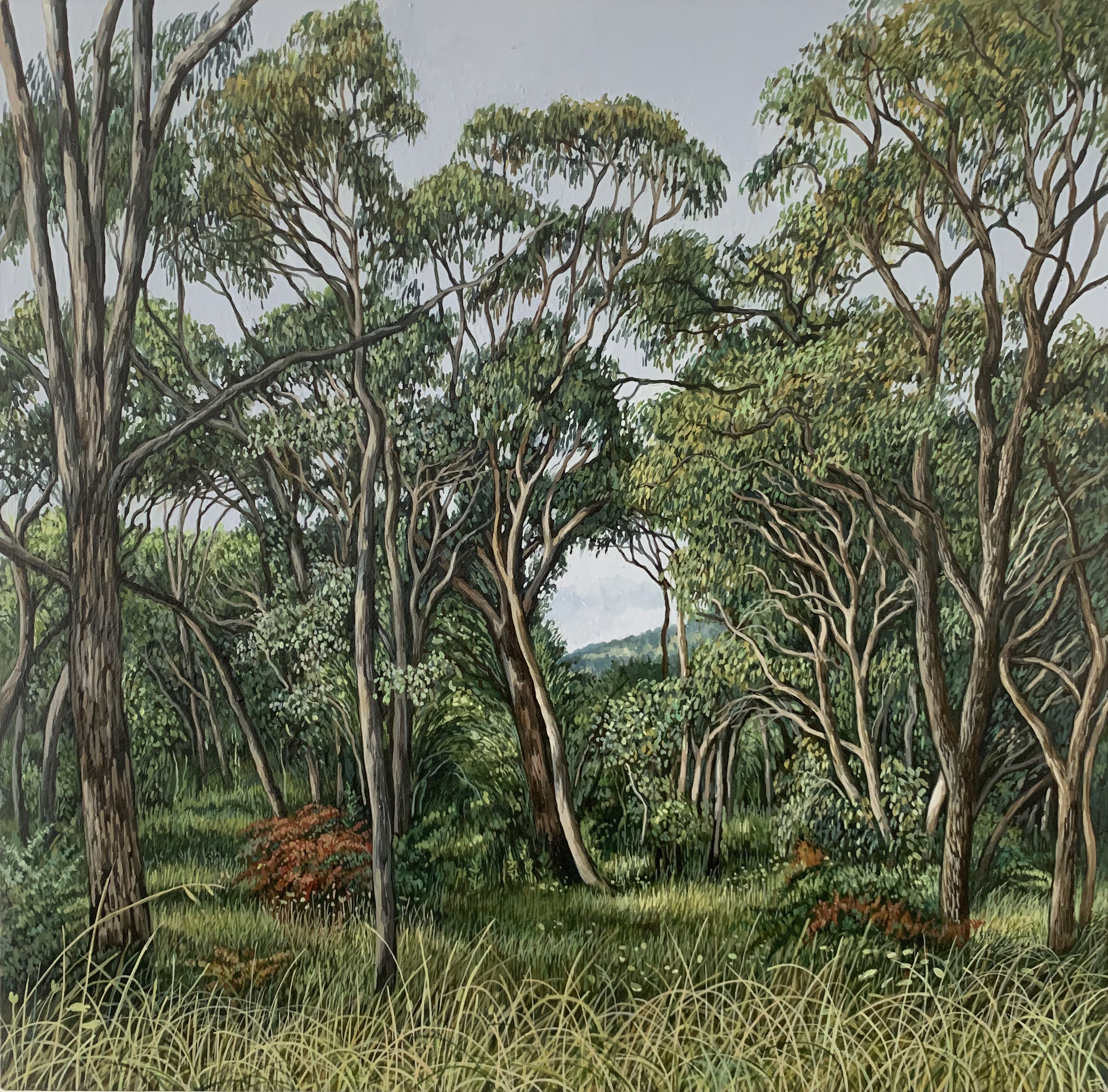 'A View From Rockvale road II' 