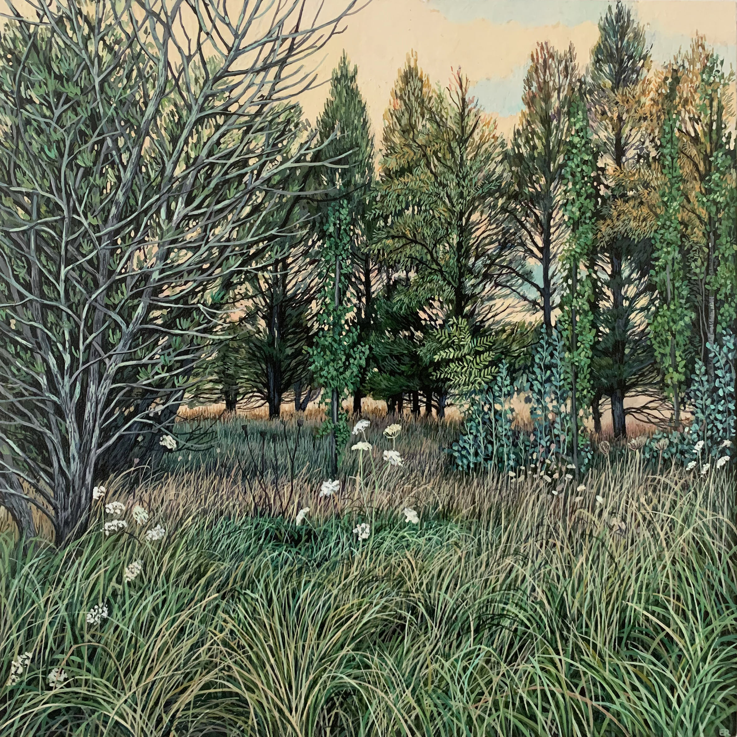 'Kelly's Plains Reserve I' 
